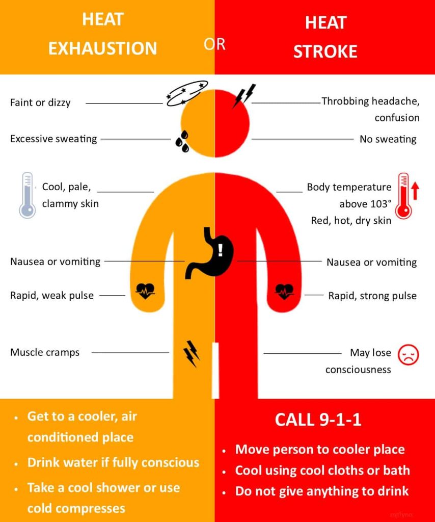 Heat exhaustion vs. Heat stroke Which is which? 95.3 MNC