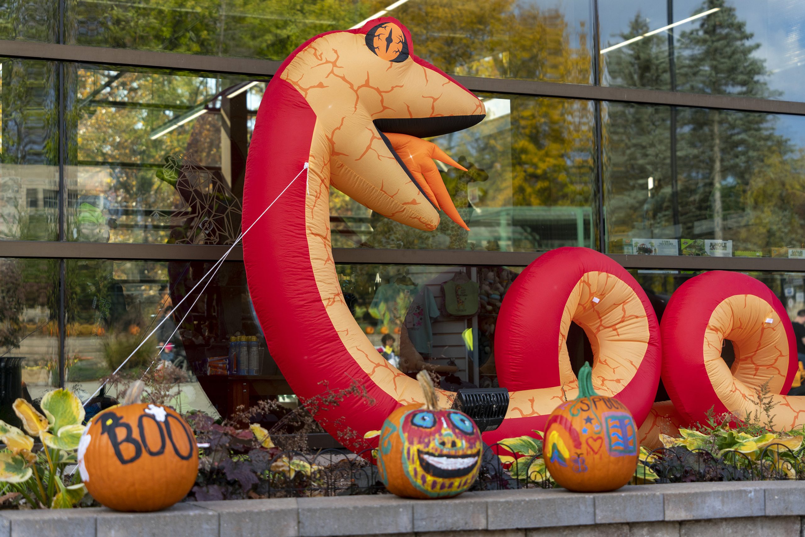 Annual Zoo Boo returns to Potawatomi Zoo 95.3 MNC