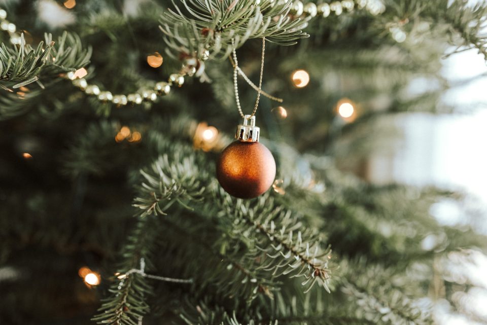 red bauble on green christmas tree