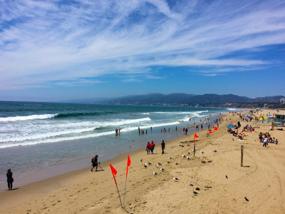 people on beach during daytime